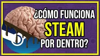 ¿Cómo funciona STEAM por dentro?