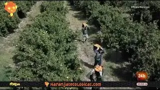 Naranjasecológicas.com en RTVE - REPOR