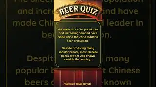 The Ultimate Beer Quiz: Can You Answer These Global Beer Trivia Questions? Volume I