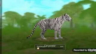 WildCraft Türkçe oynanış {40lvl kaplan}