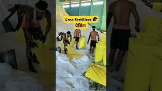 urea fertilizer #urea #fertilizer #dharmenthakur #shorts #ytshorts #tranding #farming