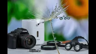 Easy Macro Photography - Dandelion Seed & Water Droplets