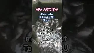 CNS NIAGA, KOTA PROBOLINGGO Jawa Timur Indonesia 👍#music Pop DJ.