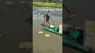 Quickly catch a lot of #fish