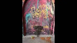 JanVe - Chz (Prod.by 27CorezonesBeats)
