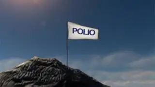 Volunteer with Rotary - Polio Eradication