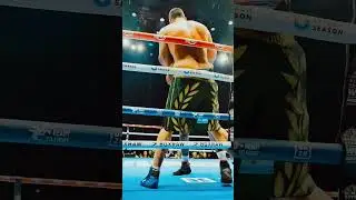 Devon Young vs Jonathan Vergara: Savage Knockout or Skillful Finish?