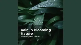 Thriving Nature Rain
