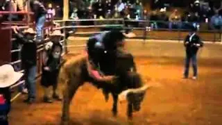 Cody Brewer E.C Hunt bull riding