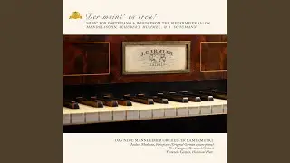 Fantasiest&uuml;cke, Op. 73: No. 2, Lebhaft, leicht