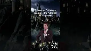 We all loved Mr Weasley #harrypottermemes #hogwarts #comedy #harrypotter