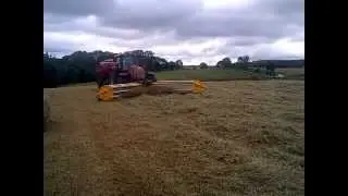 Elho 600 V-Twin Swather grass rake | UK 2013