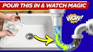 BEST Way to Clean Your Kitchen Drain and Stop Bad Smells