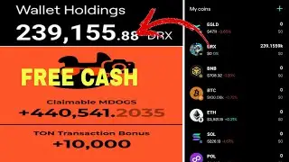 DoctorX tokens distribution and Money Dogs claiming is ending soon | Be fast