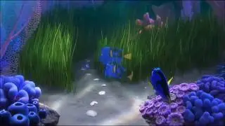DORY//Played-A-Live//AMV