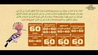الهدهد يُبعث من جديد.. الجزء الأوّل
