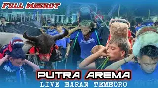 P. MBEROT ASLI MALANG‼️BANTENG PUTRA AREMA CEMOROKANDANG Terbaru Live Baran Temboro 21/01/2024