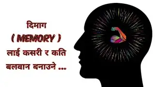 भुल्ने जतिले हेर्नु  how to improve memory power , nepali health tips  दिमाग बढाउने तरिका ..