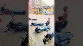 #sheopur #mp #barish #barishsongstatus #rain #rainfall #mosam #youtubeshorts #viralvideo