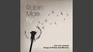 Fly