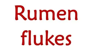 Rumen flukes by Dr. K.Jalajakshi    #Sheepfarming #Goatfarming #Sathyazerograzing