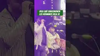 Los Hermanos Vega Jr