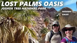 Can we find the Lost Palms Oasis in Joshua Tree National Park? | Perpetual Adventures | EP39