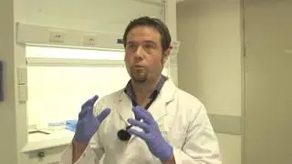 USC research targets antibiotic-resistant infections