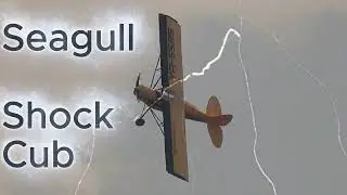 Seagull Shock Cub with OS FT240
