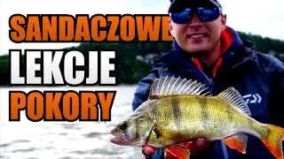 Sandacze na Czorsztynie! Wędkujemy z @DaiwaPolskaYT​