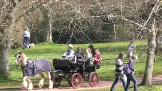 COCKINGTON COURT: COUNTRY  PARK TORQUAY   IN 4K