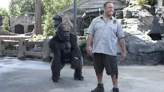 Zookeeper | Full Story Movie Review & Analysis | Kevin James, Rosario Dawson