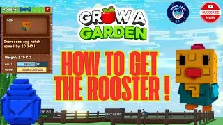 Roblox Grow a Garden | How To Get The Rooster | Rare Egg | New Pet | Full Walkthrough |