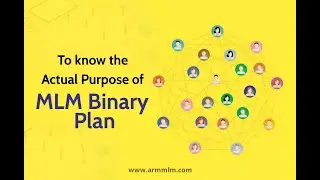 Binary MLM Plan Software | MLM Compensation Plan | MLM Business