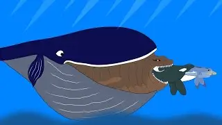 Fish Eat Fish Size Comparison // Ending With Blue Whale 