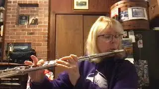 Six Note Symphony for flute   SD 480p
