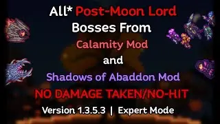 Terraria: All* Post-Moon Lord Calamity Mod & Shadows of Abaddon Mod Bosses No-Hit | v1.3.5, Expert |