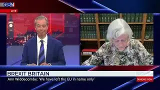 Watch Ann Widdecombe Slams Rishi Sunak Over Brexit Handling .