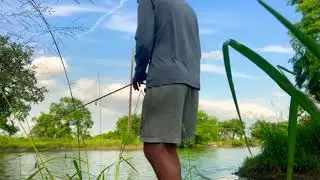 Bass Fishing in Pond