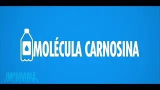 BETA ALANINA - El suplemento para mejorar el rendimiento muscular