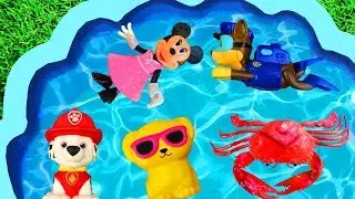 Learn Characters, Pj Masks, Paw Patrol and Animals - for Children and Kids Pool