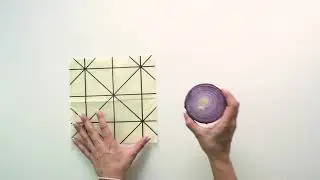 Sustainable Food Storage | How do Beeswax Food Wraps Work?