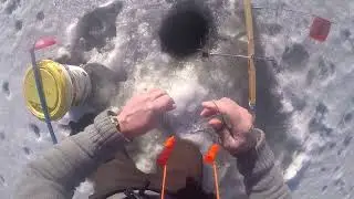 WIsconsin  Wolf tracker outdoor enthusiast Ice Fishing Tip Up Northern Pike