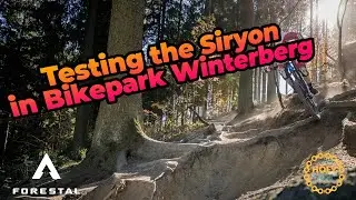 Winterberg - The Forestal Siryon Edition
