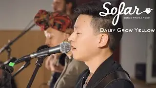 Daisy Grow Yellow - Seven | Sofar Aachen