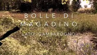 Bolle di Magadino