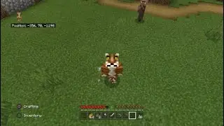 Troviamo un villaggio matteo world ep2 |minecraft ita