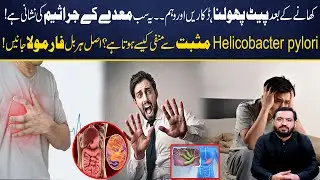 Helicobacter Pylori Treatment | Bloating, Burping & Anxiety &ndash; Natural Herbal Cure Revealed