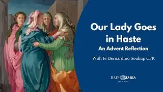 Our Lady Goes in Haste | Advent Reflection on Hope, Suffering & Humility | Fr Bernardino CFR