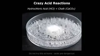 Amazing and crazy reactions of Acids💥